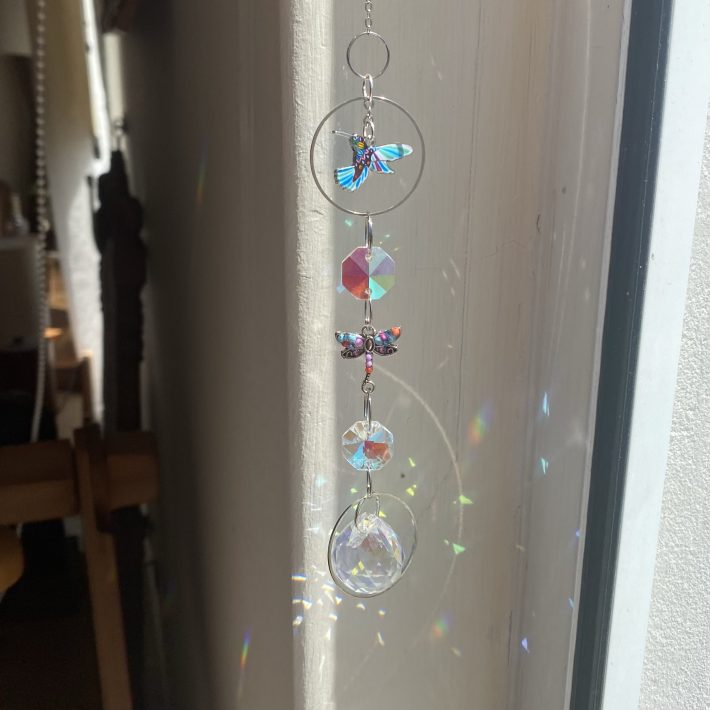 Colibrí y libélula