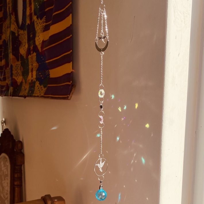 Líbelula y colibrí primaveral