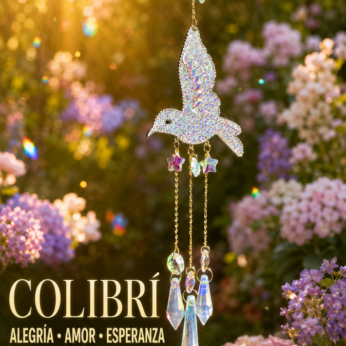 Colibrí de luz Plata